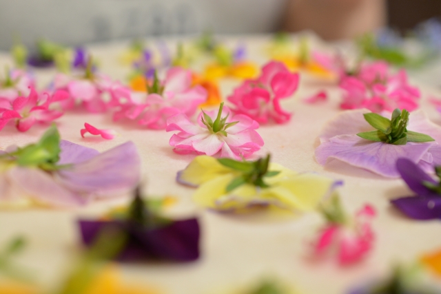 押し花の作り方きれいに色あせず鮮やかに出来る方法を紹介 簡単